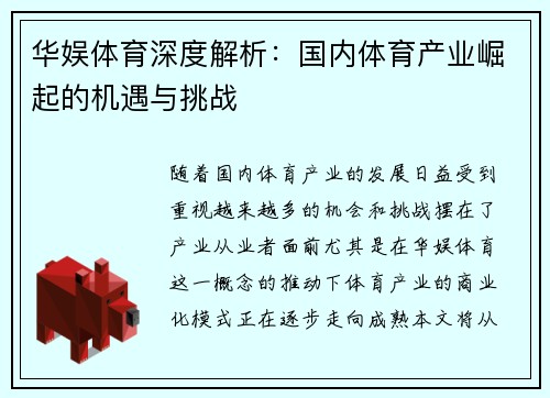 华娱体育深度解析：国内体育产业崛起的机遇与挑战